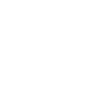 MIT WPU